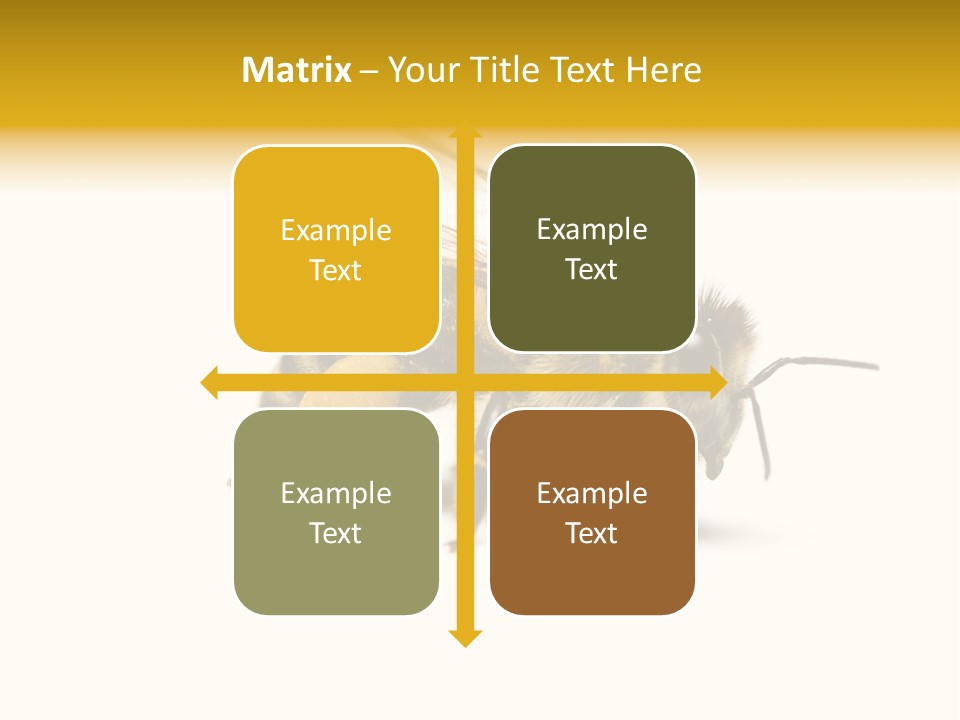 Single Animal Feeler PowerPoint Template