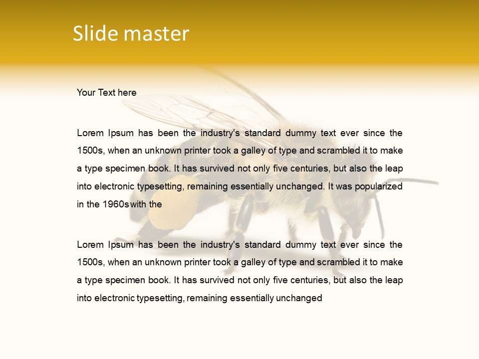 Single Animal Feeler PowerPoint Template