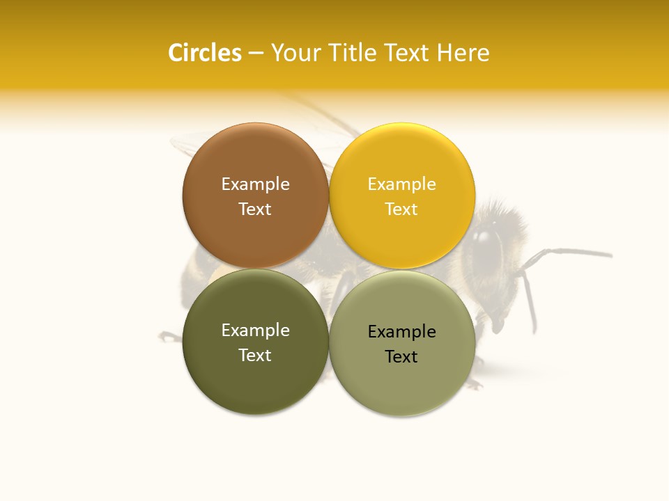 Single Animal Feeler PowerPoint Template