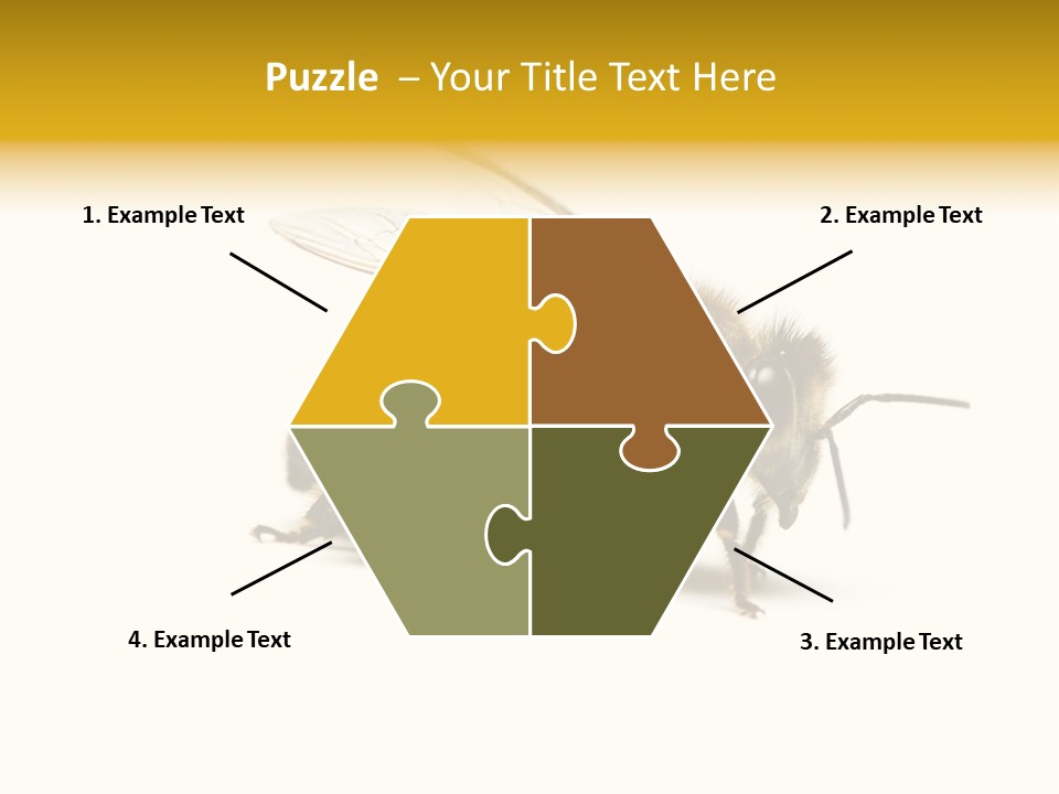 Single Animal Feeler PowerPoint Template