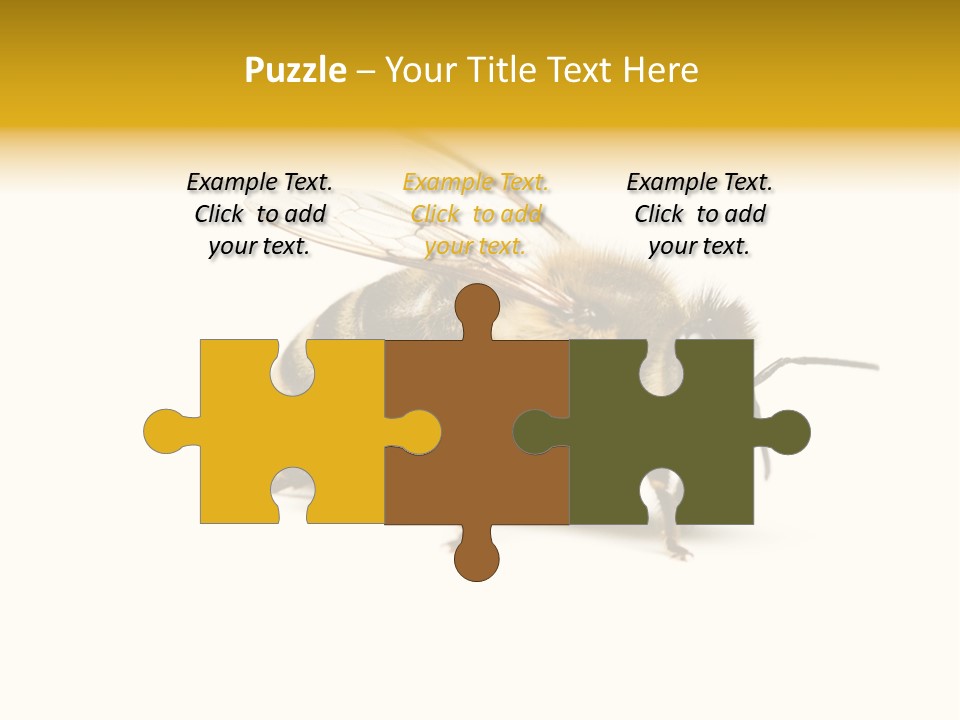 Single Animal Feeler PowerPoint Template