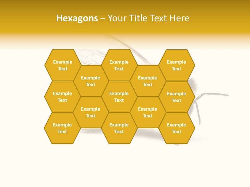 Single Animal Feeler PowerPoint Template