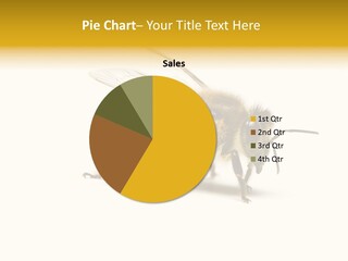 Single Animal Feeler PowerPoint Template