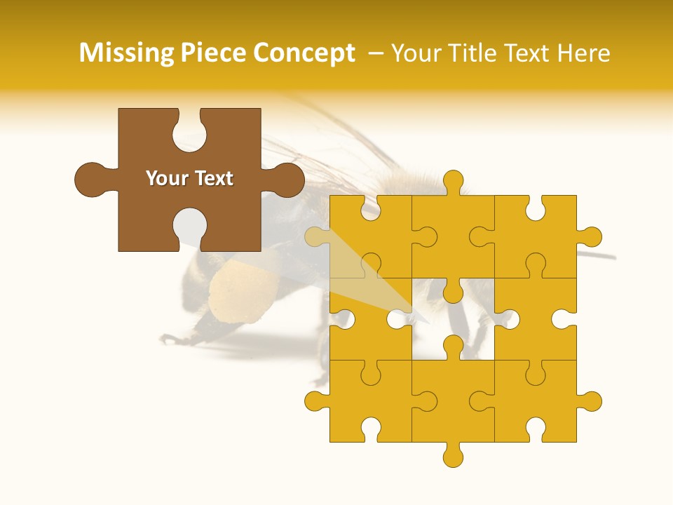 Single Animal Feeler PowerPoint Template