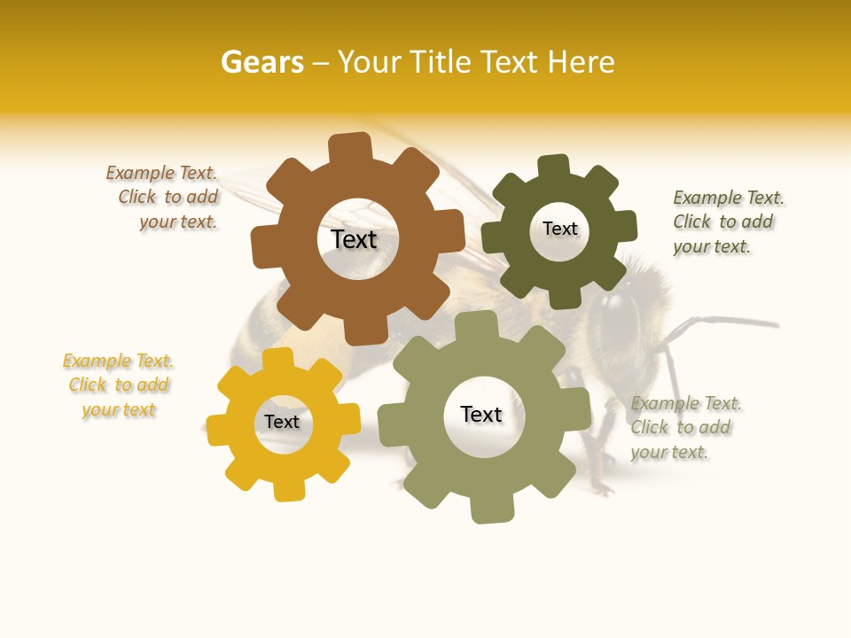 Single Animal Feeler PowerPoint Template