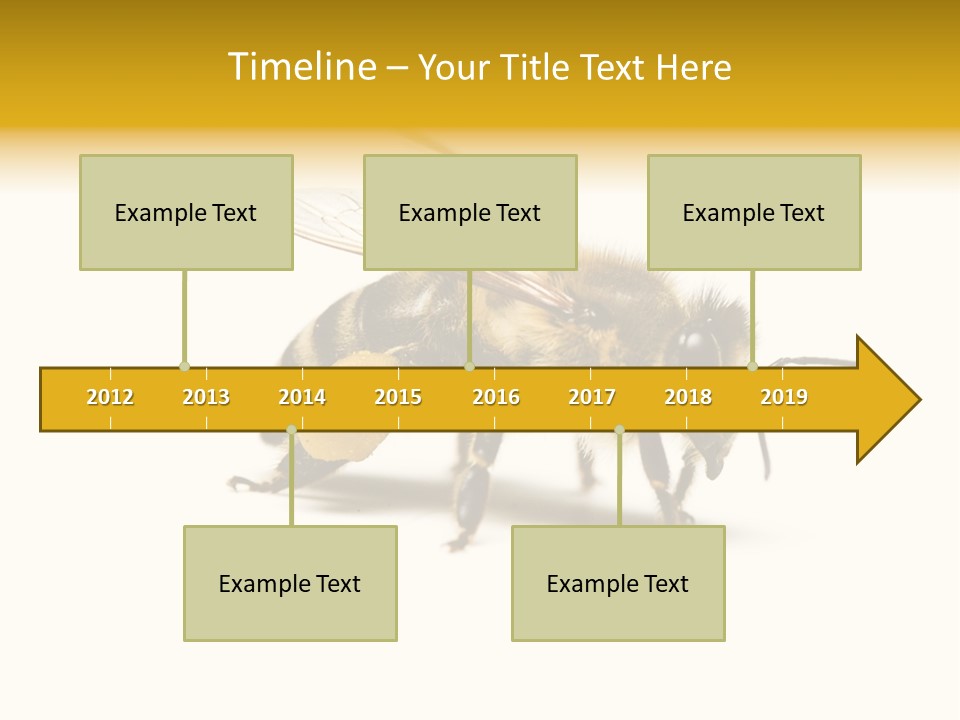 Single Animal Feeler PowerPoint Template