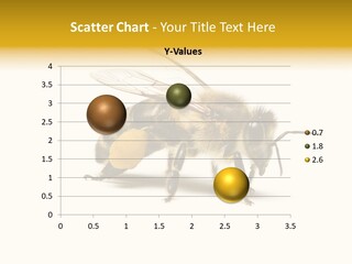 Single Animal Feeler PowerPoint Template