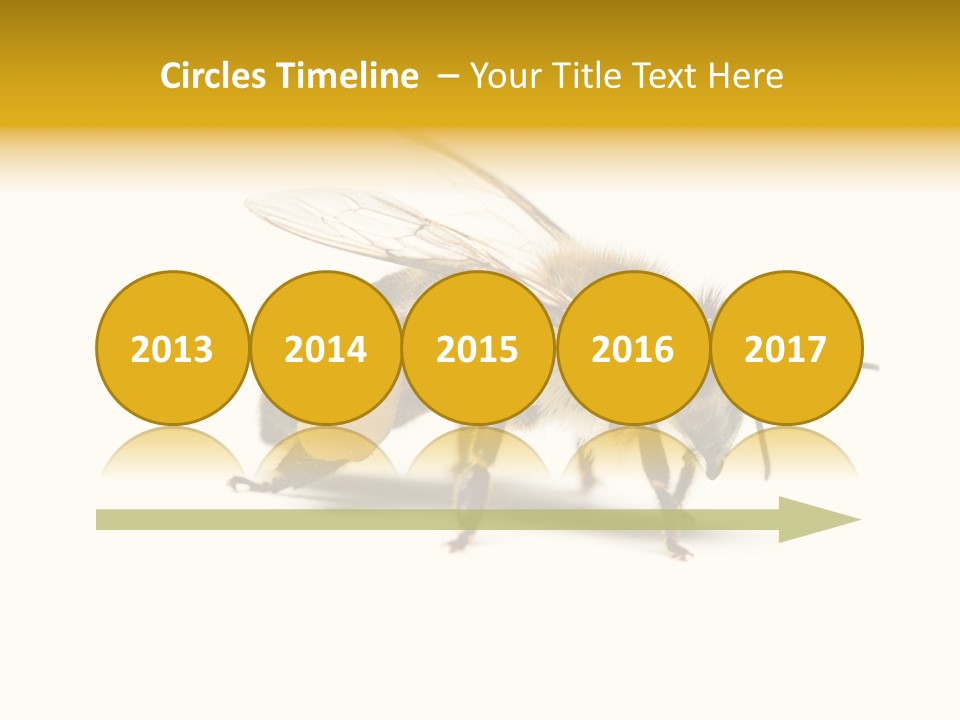 Single Animal Feeler PowerPoint Template