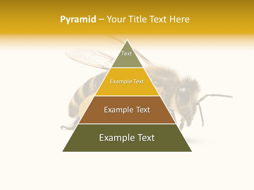 Single Animal Feeler PowerPoint Template