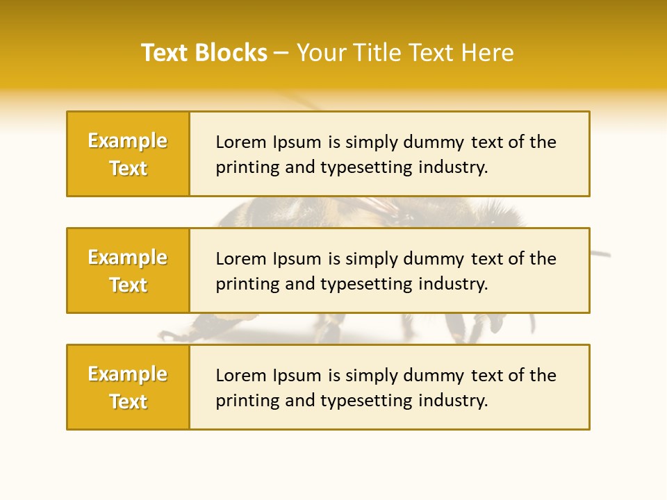 Single Animal Feeler PowerPoint Template