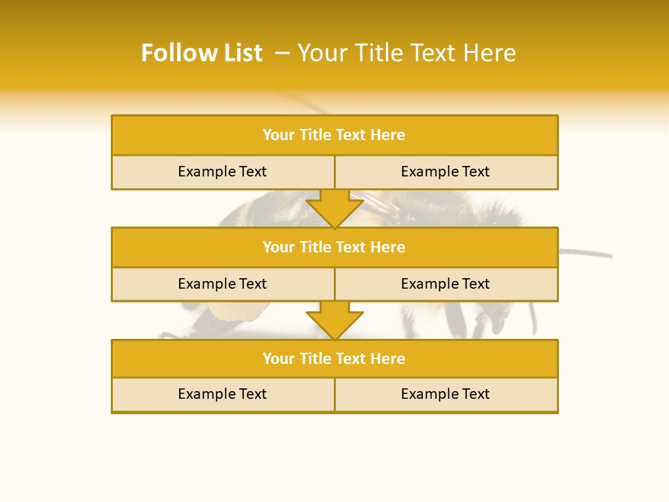 Single Animal Feeler PowerPoint Template