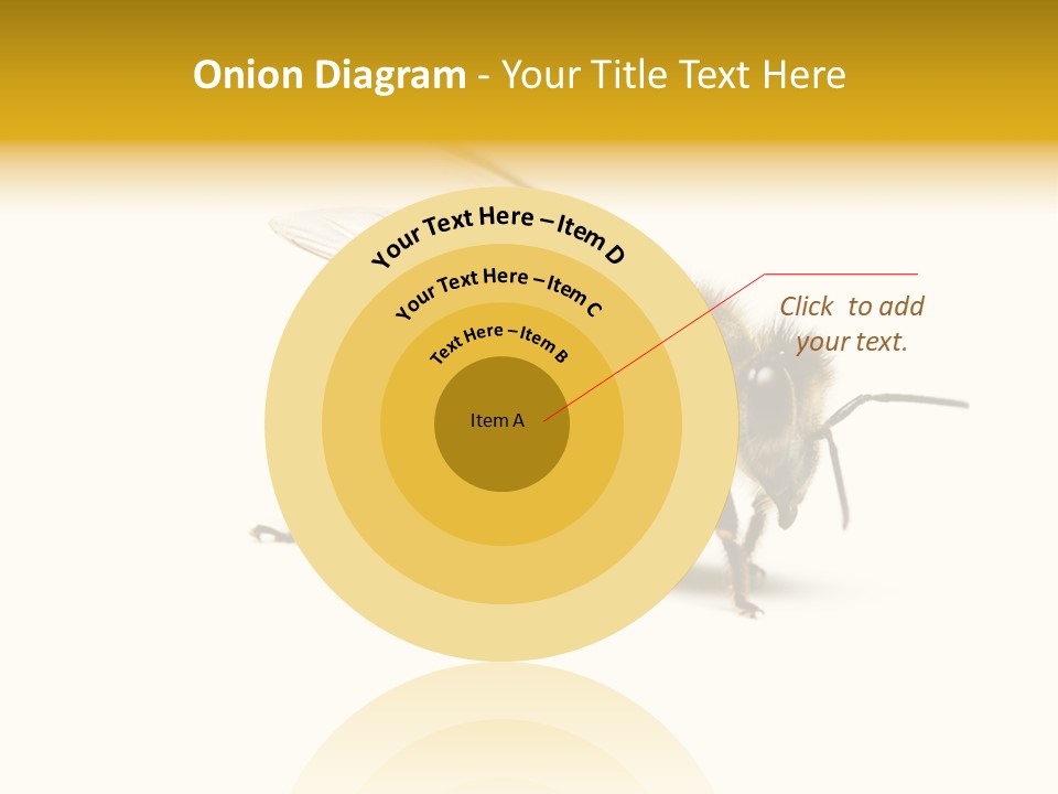 Single Animal Feeler PowerPoint Template