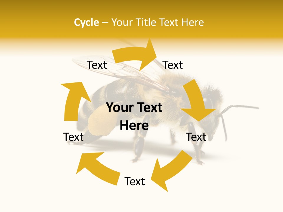 Single Animal Feeler PowerPoint Template