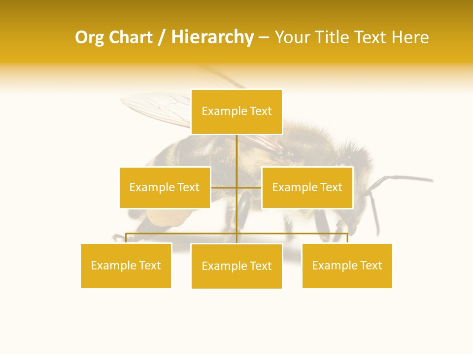 Single Animal Feeler PowerPoint Template