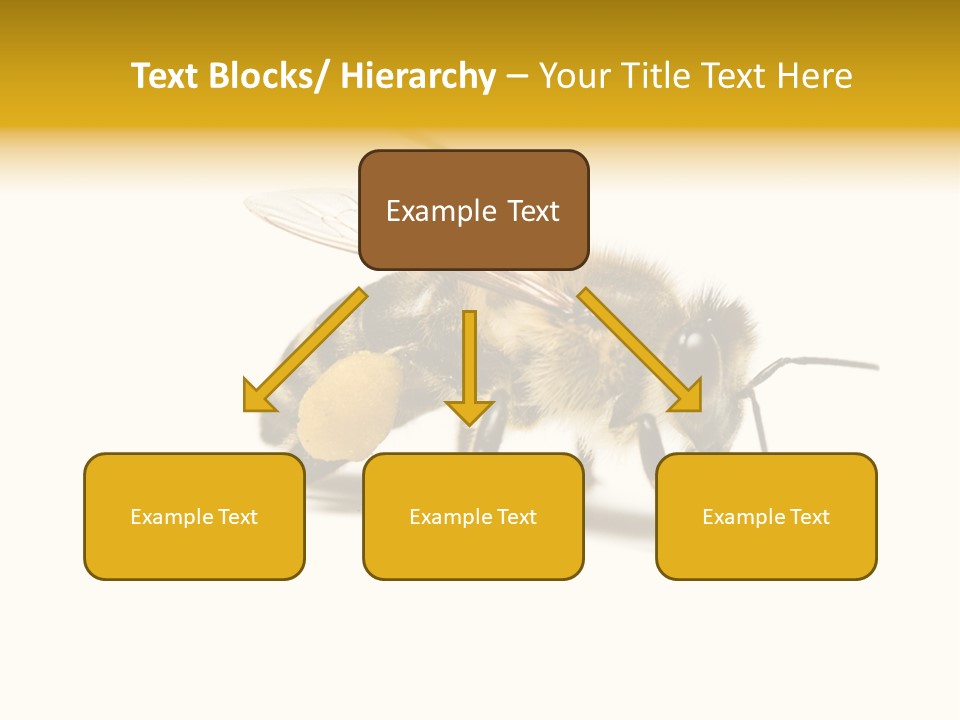 Single Animal Feeler PowerPoint Template
