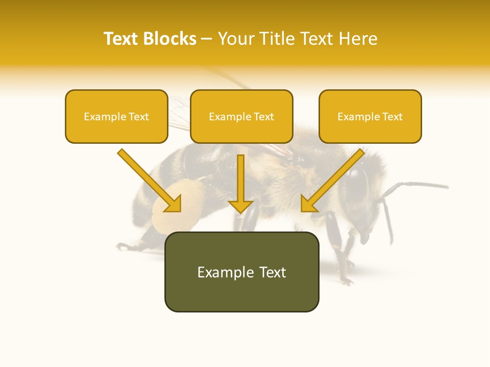 Single Animal Feeler PowerPoint Template