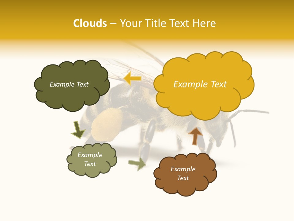Single Animal Feeler PowerPoint Template