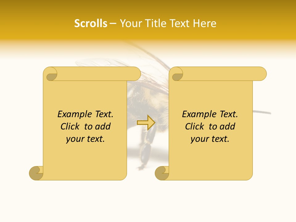 Single Animal Feeler PowerPoint Template