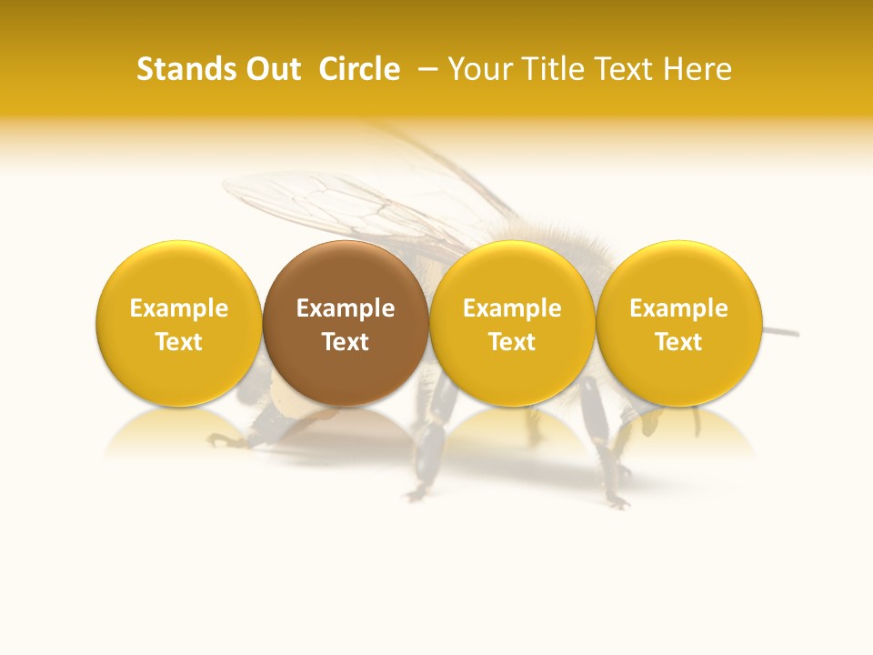 Single Animal Feeler PowerPoint Template