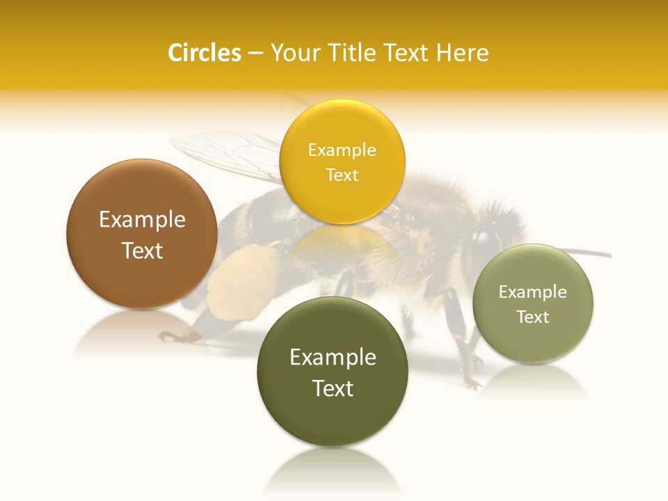 Single Animal Feeler PowerPoint Template