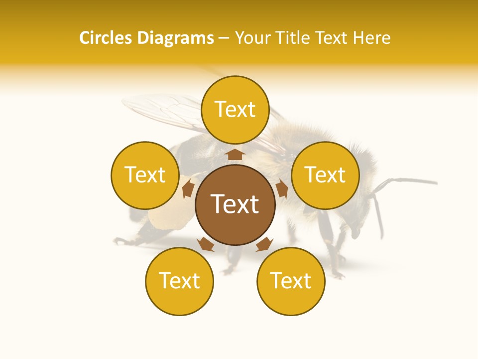 Single Animal Feeler PowerPoint Template