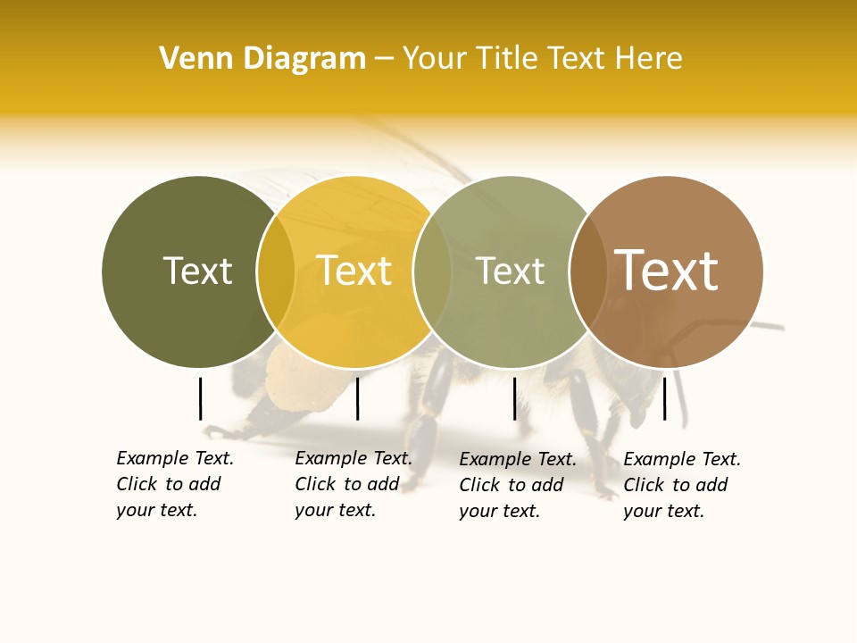 Single Animal Feeler PowerPoint Template