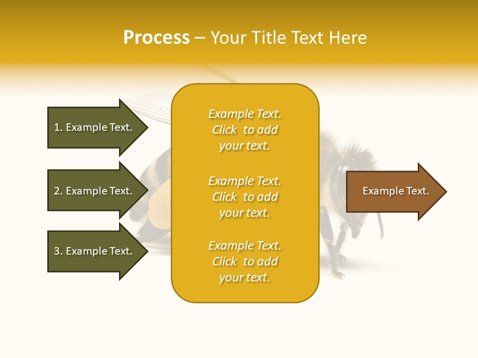 Single Animal Feeler PowerPoint Template