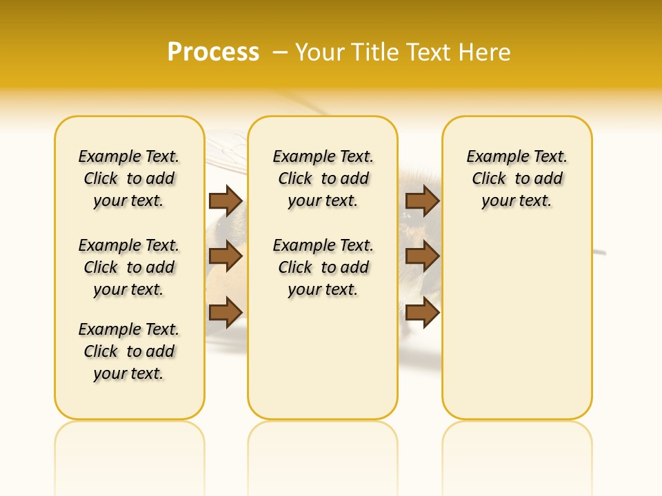 Single Animal Feeler PowerPoint Template