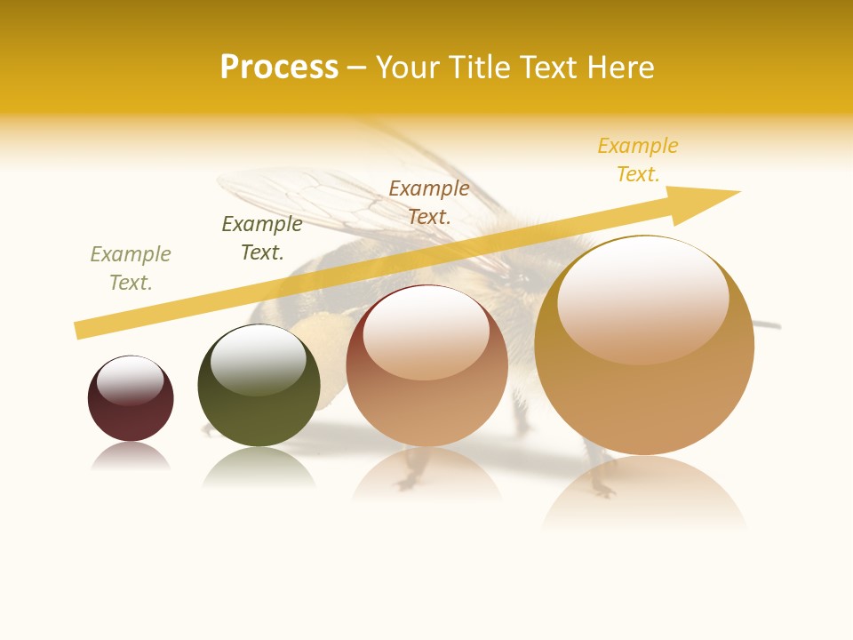 Single Animal Feeler PowerPoint Template