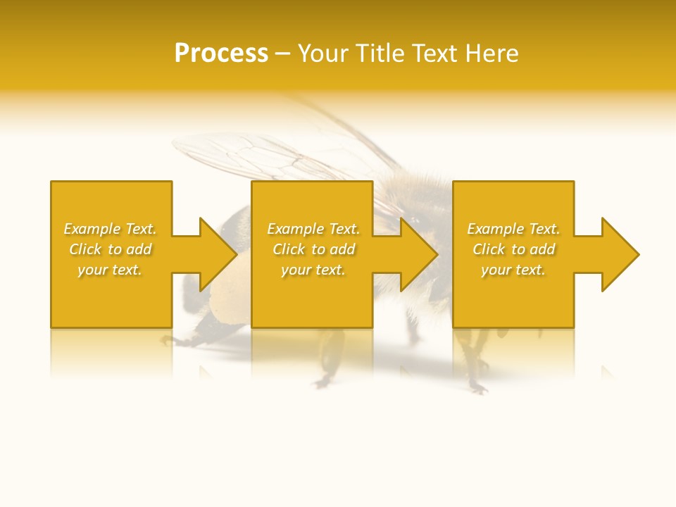 Single Animal Feeler PowerPoint Template
