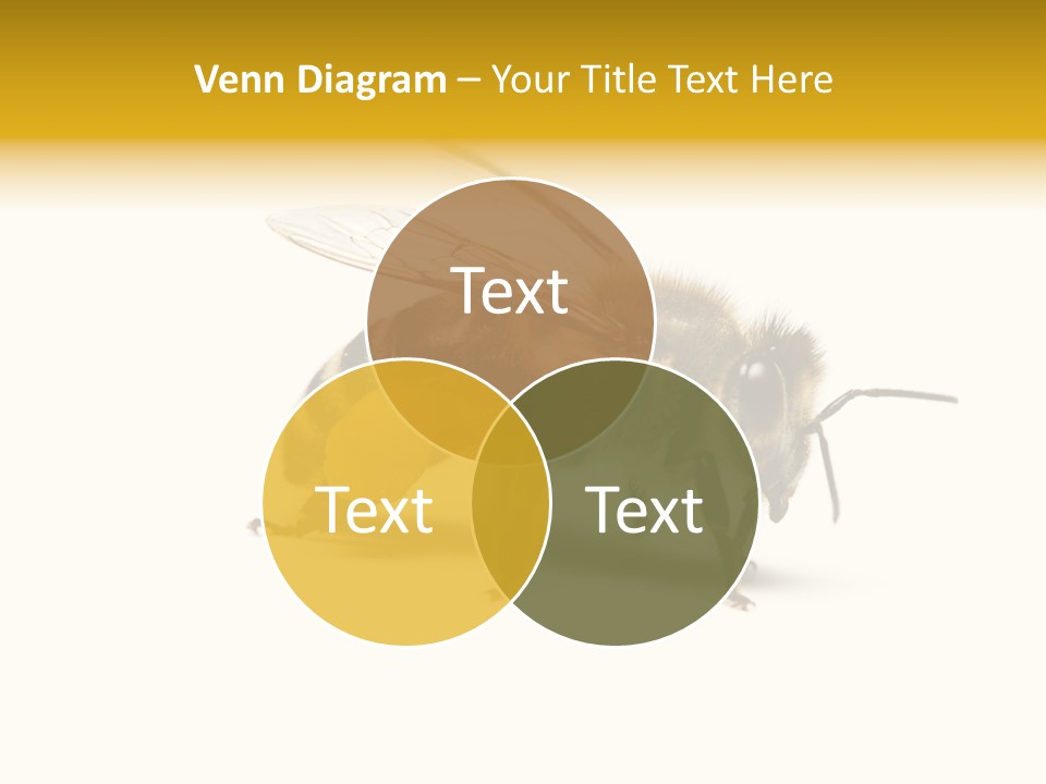 Single Animal Feeler PowerPoint Template