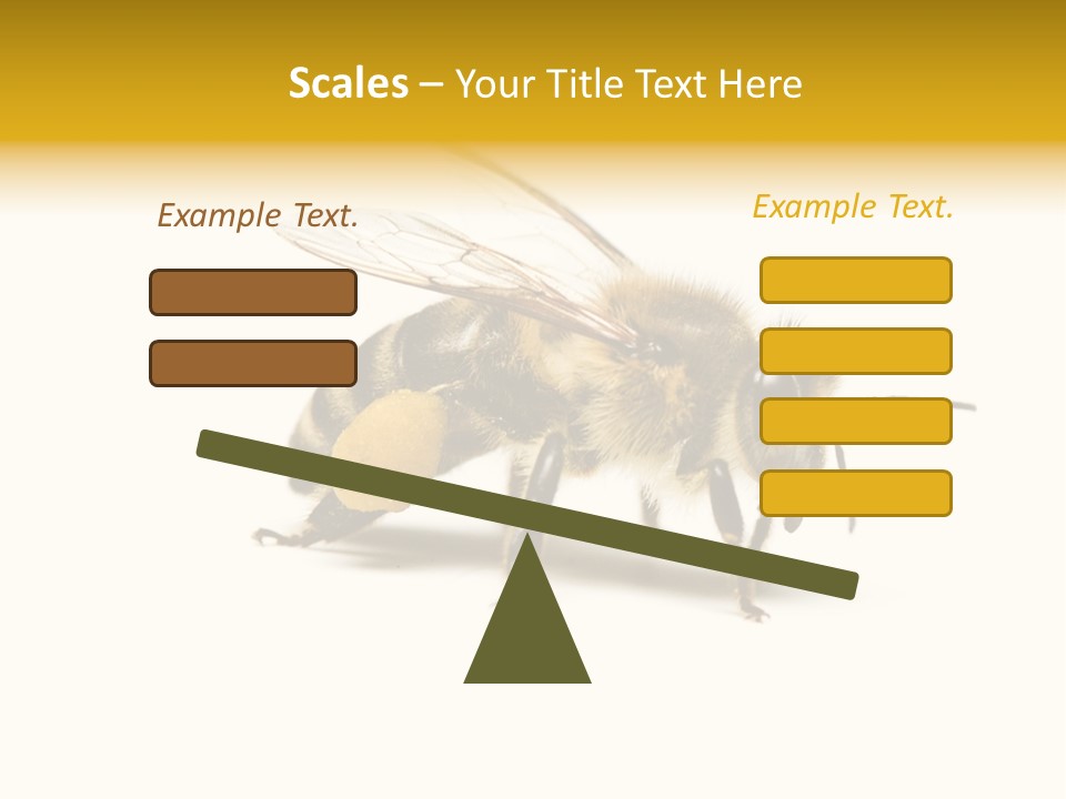 Single Animal Feeler PowerPoint Template
