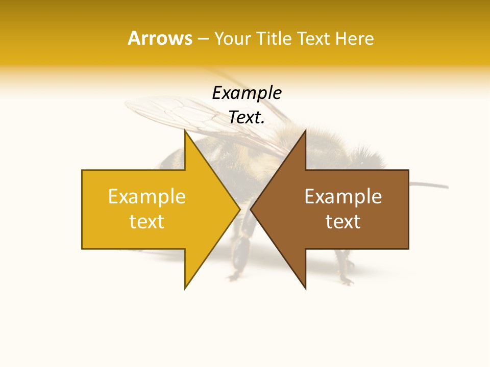 Single Animal Feeler PowerPoint Template