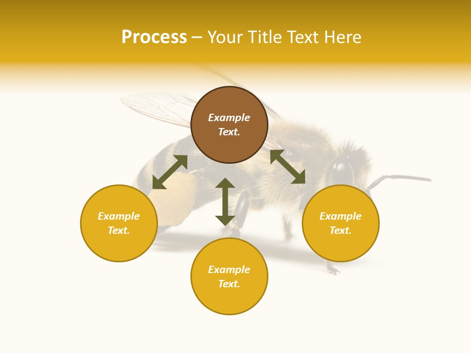 Single Animal Feeler PowerPoint Template