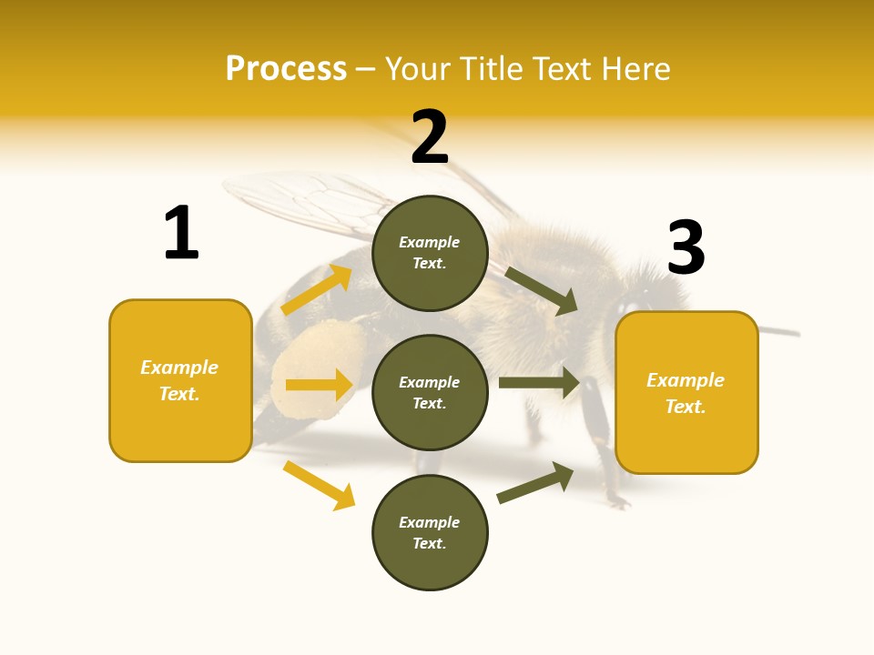 Single Animal Feeler PowerPoint Template