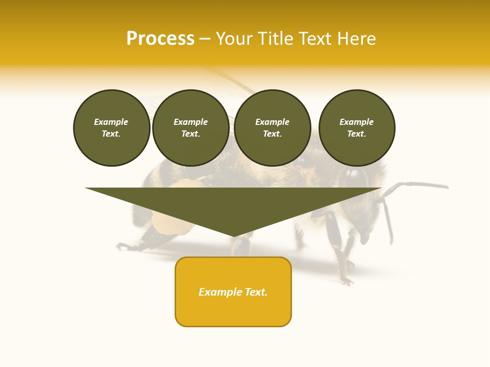 Single Animal Feeler PowerPoint Template