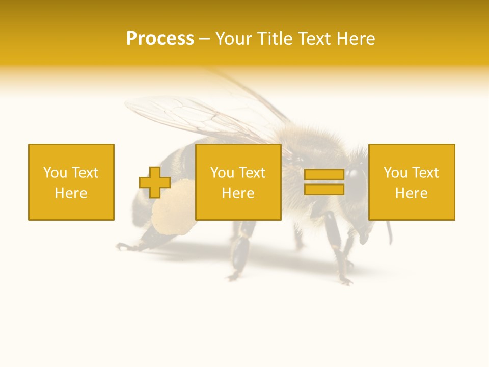 Single Animal Feeler PowerPoint Template