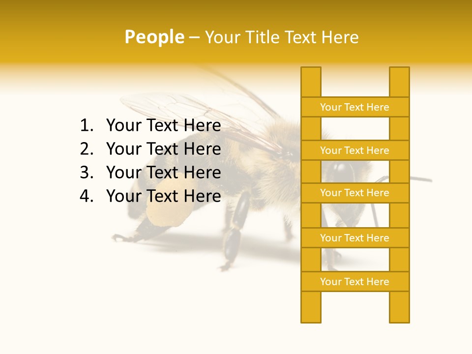 Single Animal Feeler PowerPoint Template