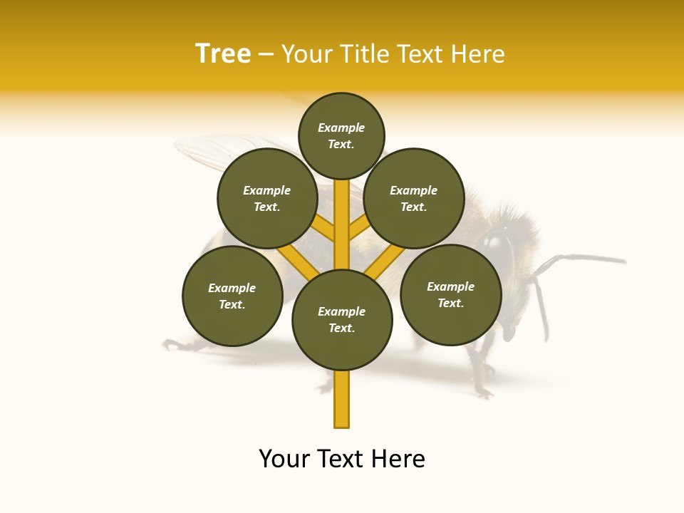 Single Animal Feeler PowerPoint Template