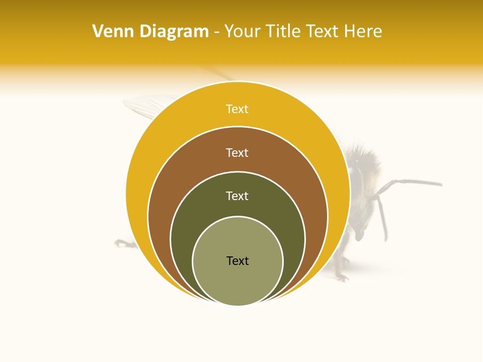 Single Animal Feeler PowerPoint Template