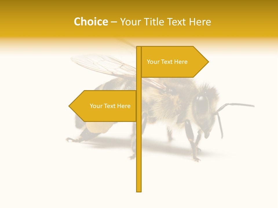 Single Animal Feeler PowerPoint Template