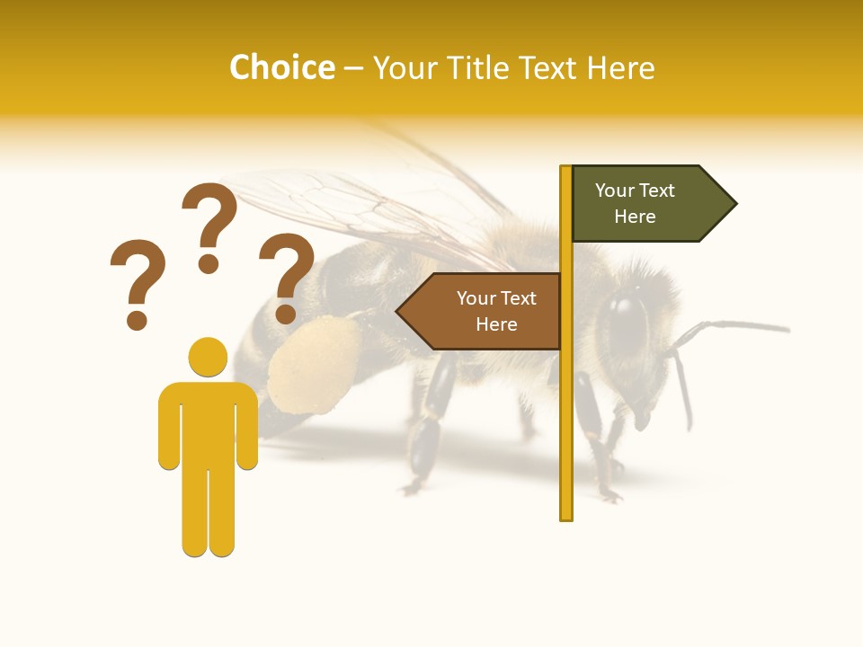 Single Animal Feeler PowerPoint Template