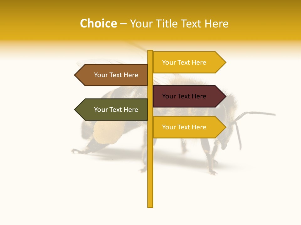 Single Animal Feeler PowerPoint Template