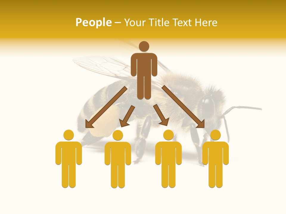 Single Animal Feeler PowerPoint Template