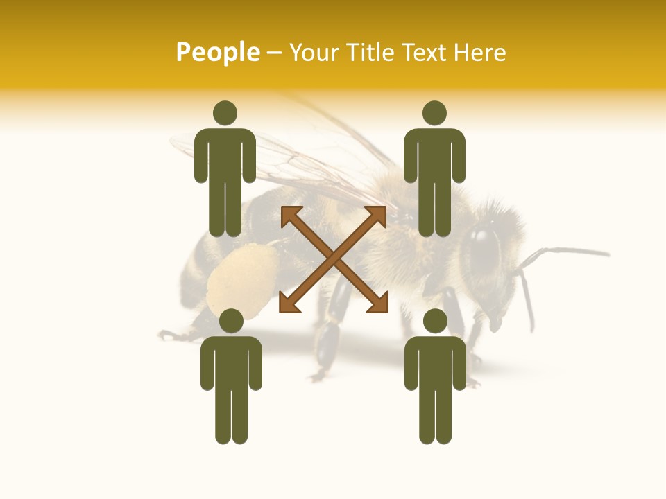 Single Animal Feeler PowerPoint Template