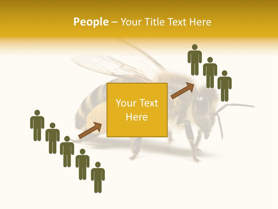 Single Animal Feeler PowerPoint Template