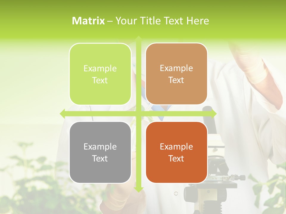 Food Scientific Exam PowerPoint Template
