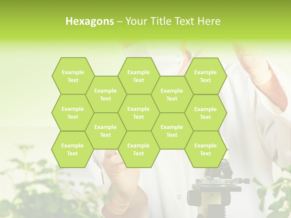 Food Scientific Exam PowerPoint Template