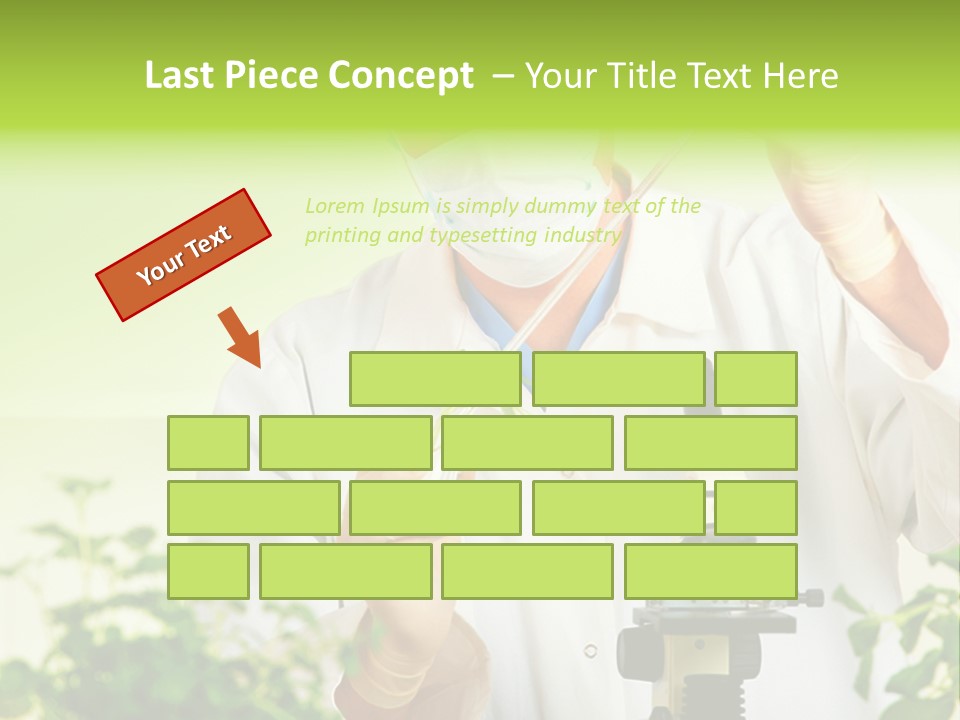 Food Scientific Exam PowerPoint Template