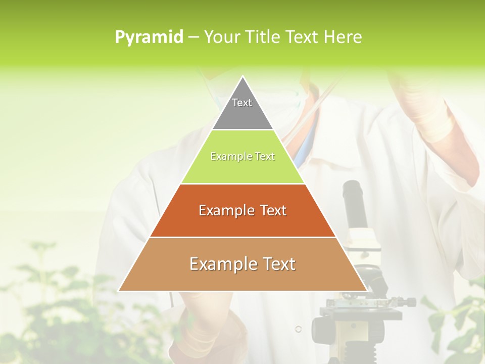 Food Scientific Exam PowerPoint Template
